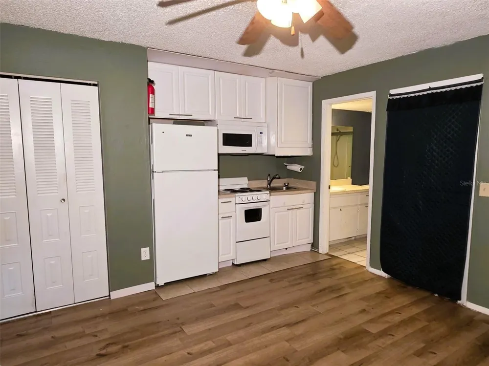 1781 SAMURAI POINT #P9 Lutz, FL 33558