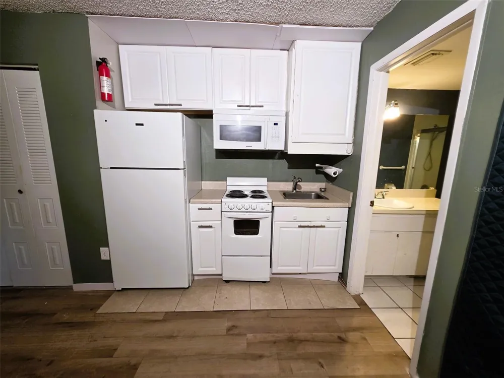1781 SAMURAI POINT #P9 Lutz, FL 33558