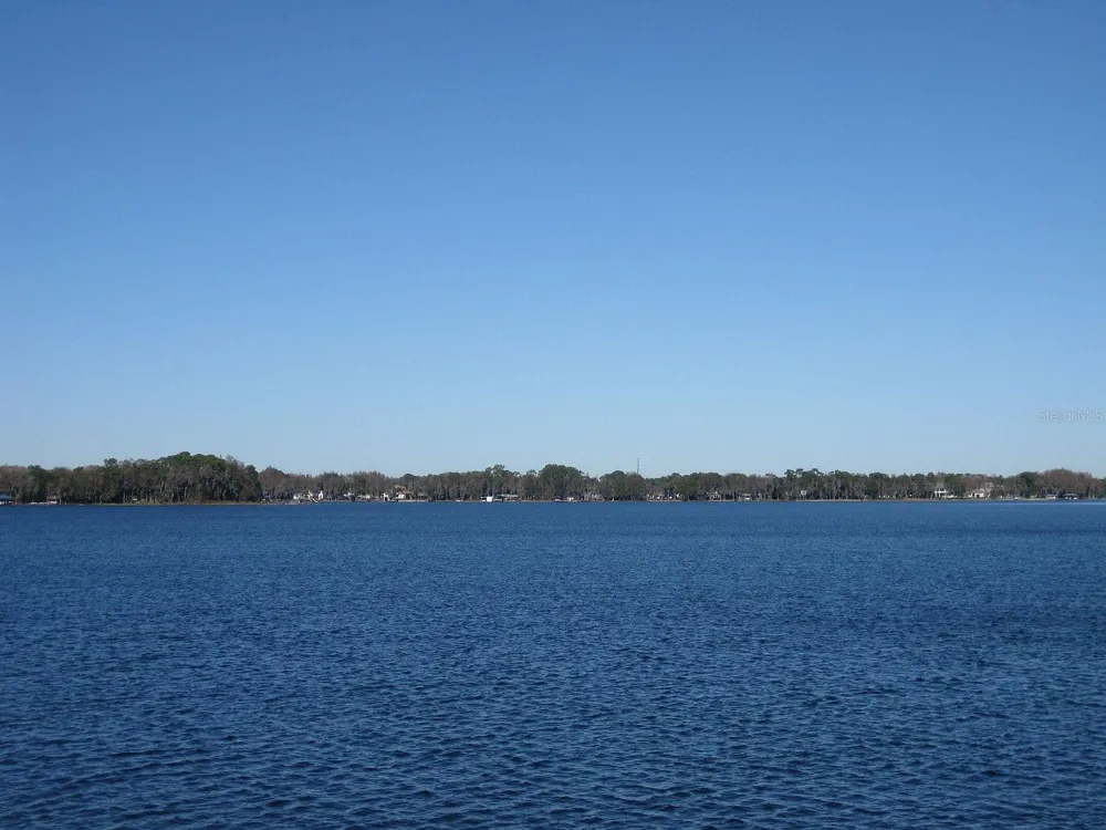 18618 WAYNE ROAD Odessa, FL 33556
