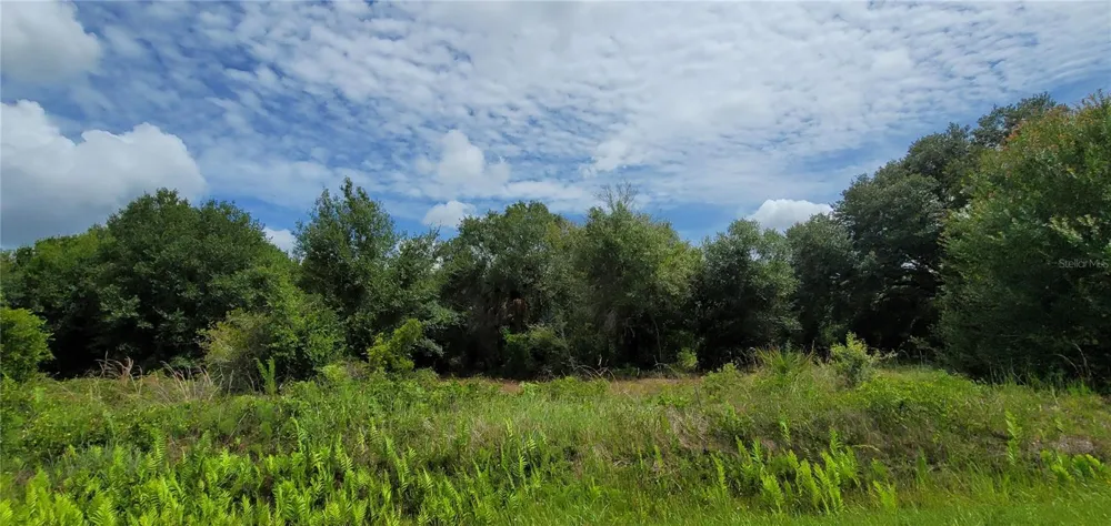 NW 268TH STREET LOT N Okeechobee, FL 34972