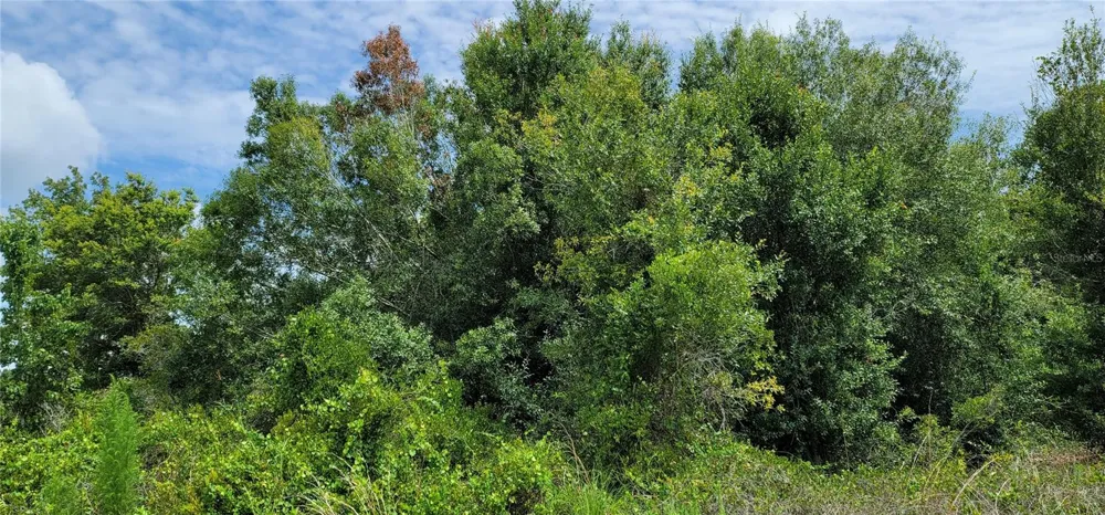 NW 268TH STREET LOT N Okeechobee, FL 34972