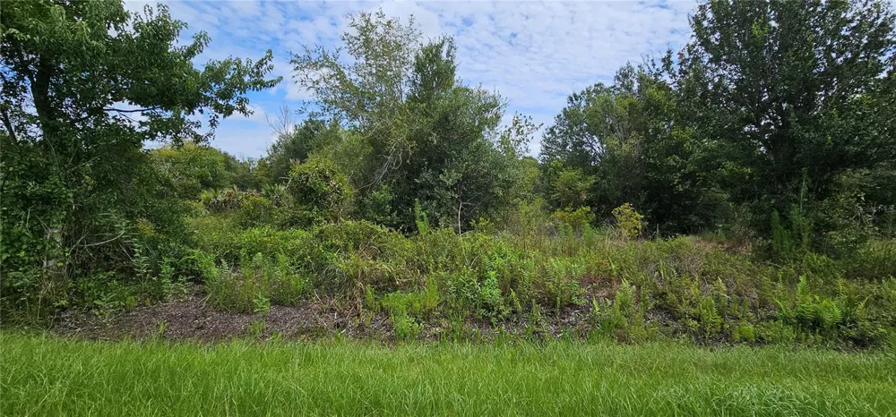 NW 268TH STREET LOT N Okeechobee, FL 34972