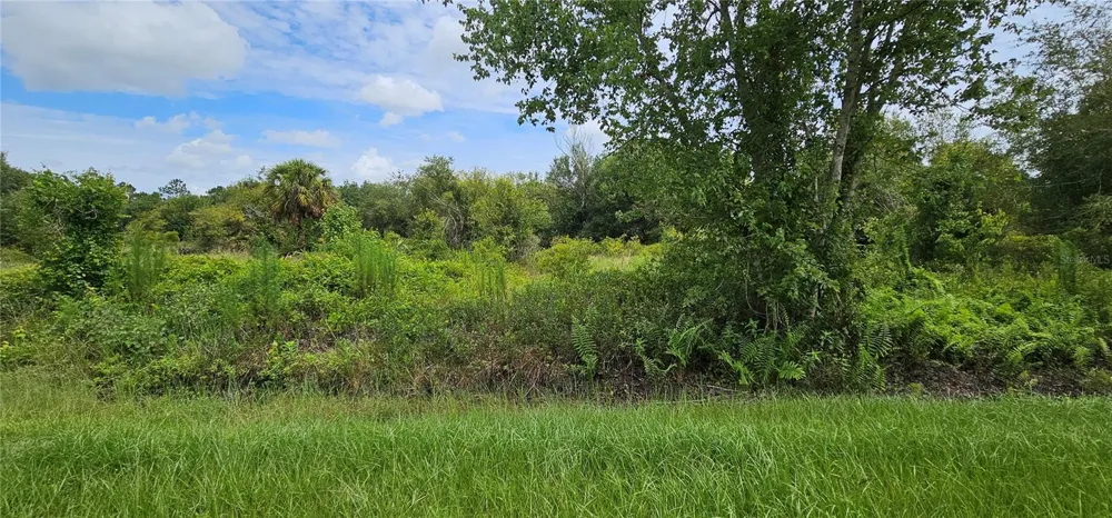 NW 268TH STREET LOT N Okeechobee, FL 34972