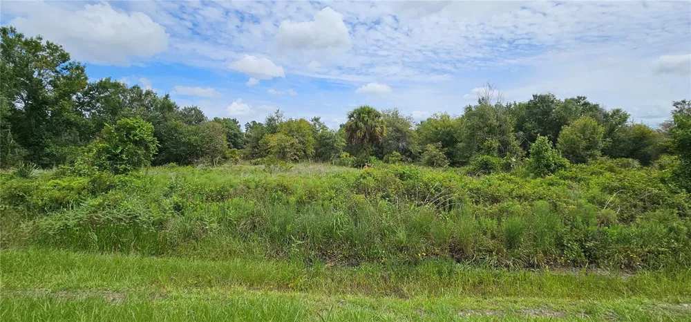 NW 268TH STREET LOT N Okeechobee, FL 34972