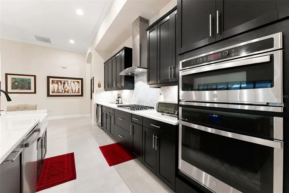 10370 MEADOWRUN DRIVE Lithia, FL 33547