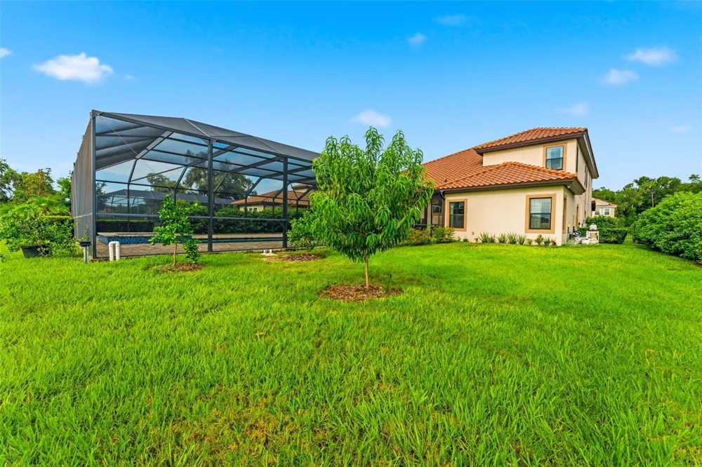 10370 MEADOWRUN DRIVE Lithia, FL 33547