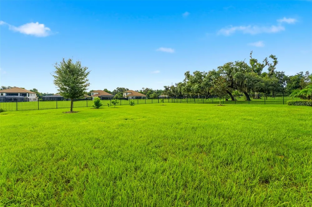 10370 MEADOWRUN DRIVE Lithia, FL 33547