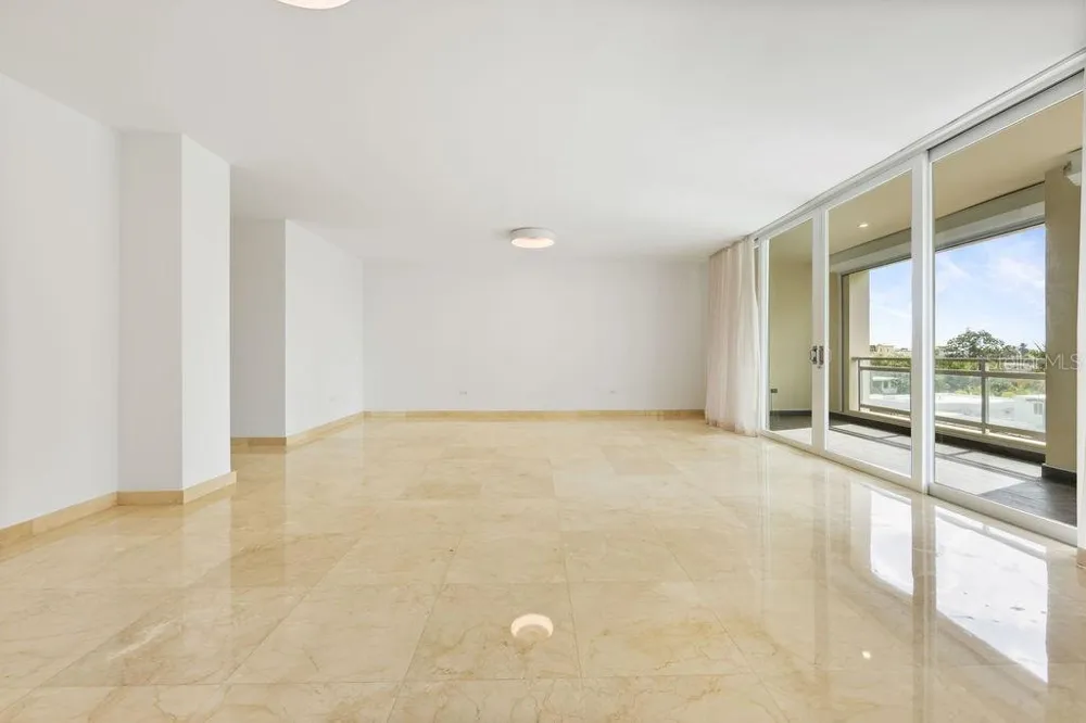 20 CARRION COURT #401 San Juan, PR 00911