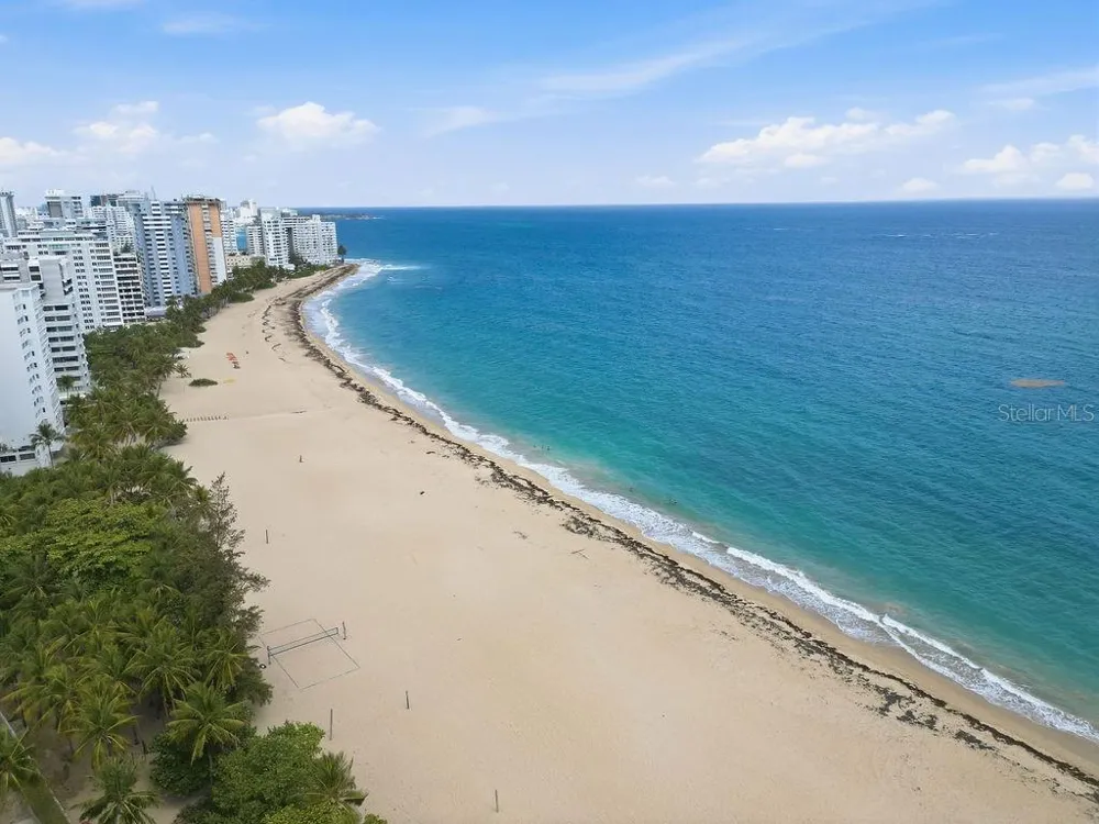 20 CARRION COURT #401 San Juan, PR 00911