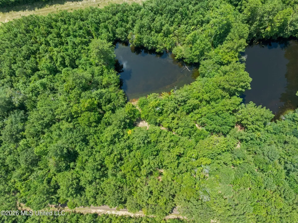 109 B Lowe Lane Lumberton, MS 39455