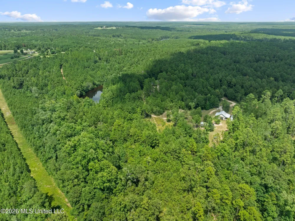 109 B Lowe Lane Lumberton, MS 39455