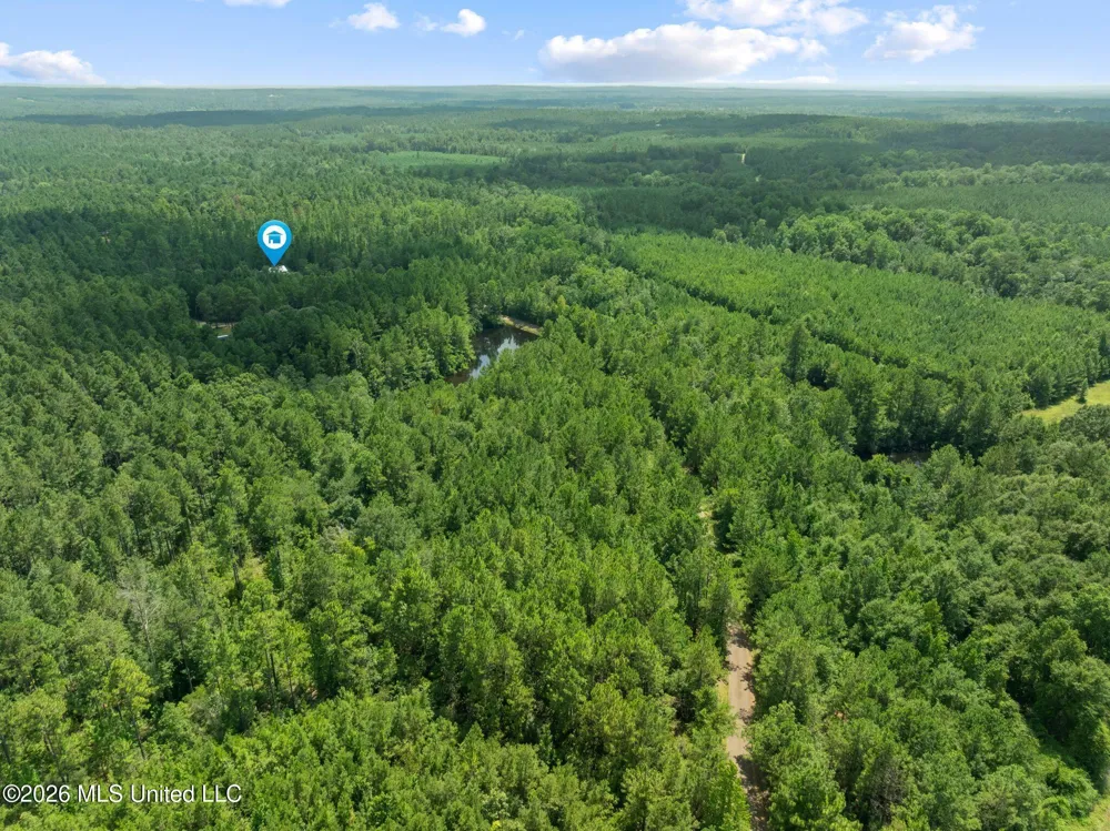 109 B Lowe Lane Lumberton, MS 39455