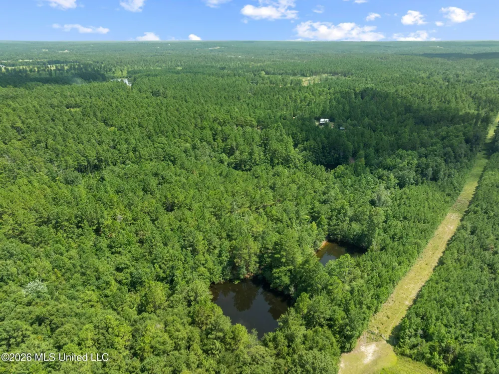 109 B Lowe Lane Lumberton, MS 39455