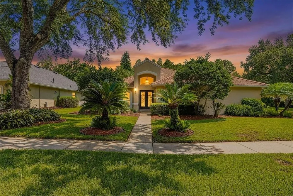 5539 AVENUE DU SOLEIL Lutz, FL 33558