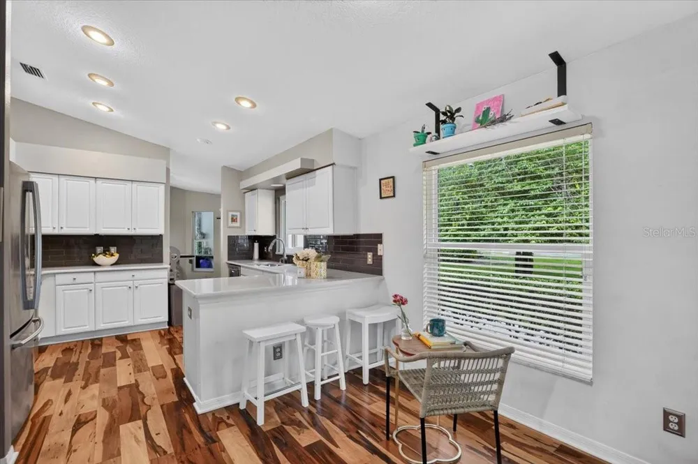 5539 AVENUE DU SOLEIL Lutz, FL 33558