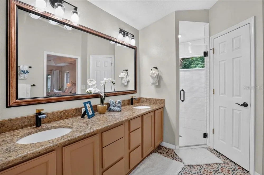 5539 AVENUE DU SOLEIL Lutz, FL 33558