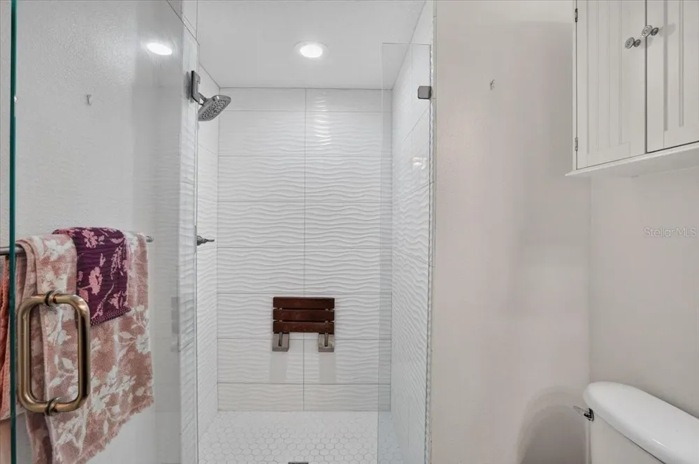 5539 AVENUE DU SOLEIL Lutz, FL 33558
