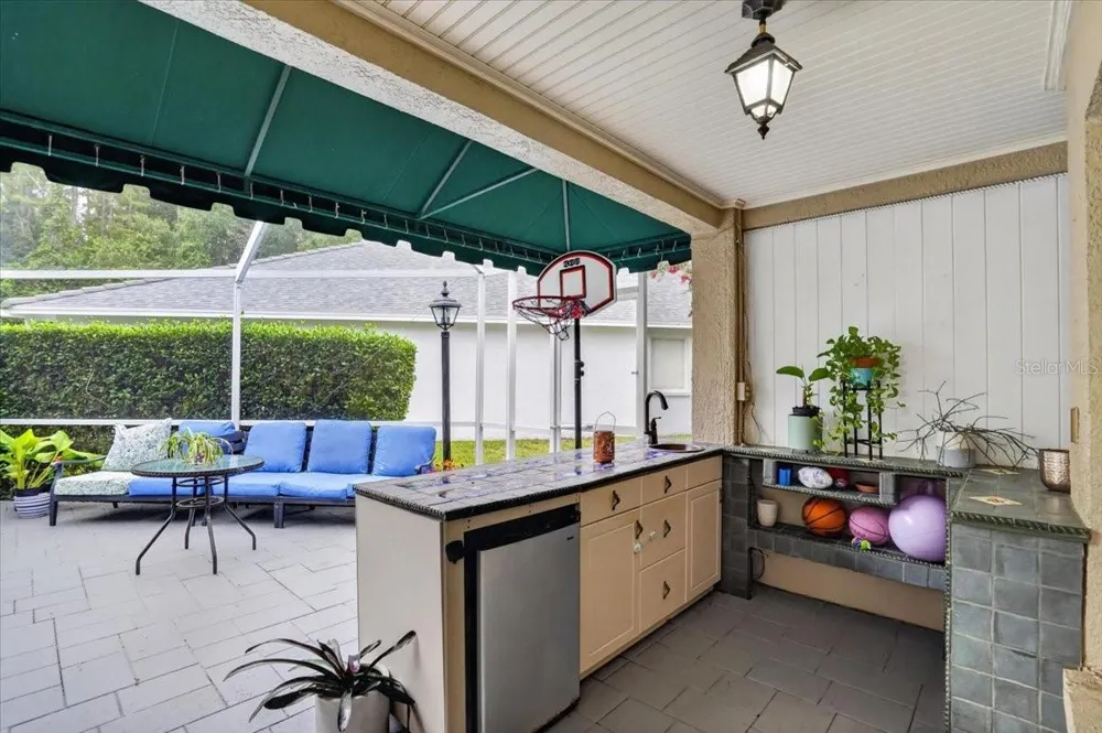 5539 AVENUE DU SOLEIL Lutz, FL 33558