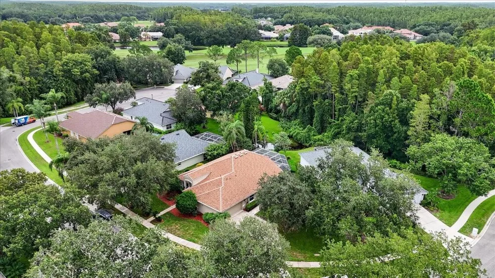 5539 AVENUE DU SOLEIL Lutz, FL 33558