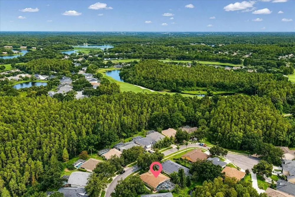 5539 AVENUE DU SOLEIL Lutz, FL 33558