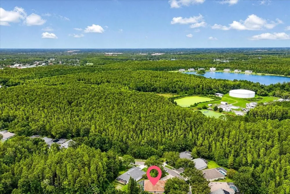 5539 AVENUE DU SOLEIL Lutz, FL 33558