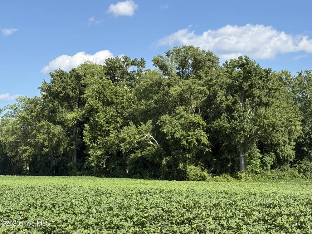 3085 Fire Dept Road Williamston, NC 27892