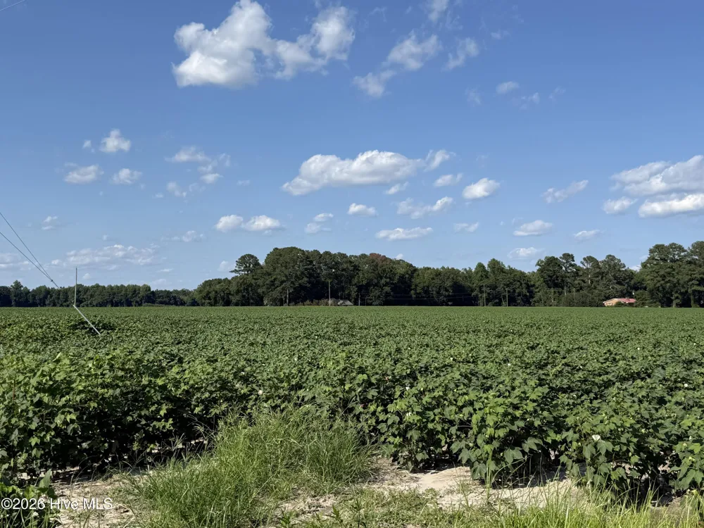 3085 Fire Dept Road Williamston, NC 27892