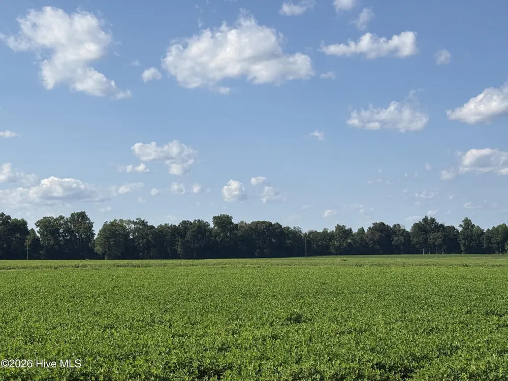3085 Fire Dept Road Williamston, NC 27892