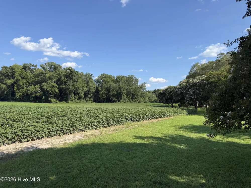 3085 Fire Dept Road Williamston, NC 27892