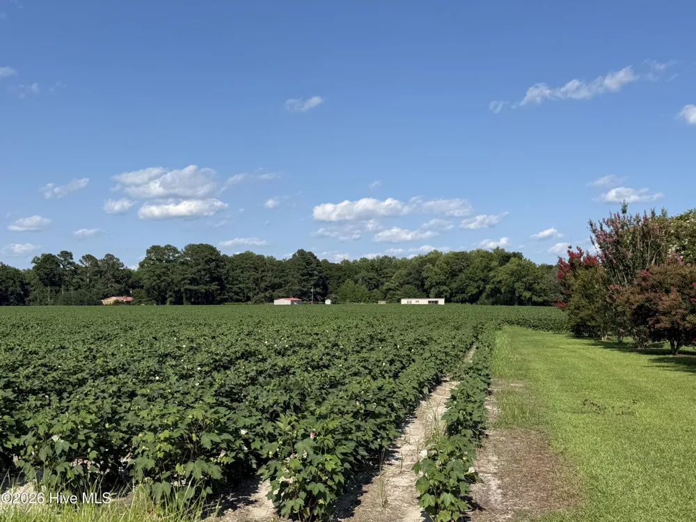 3085 Fire Dept Road Williamston, NC 27892
