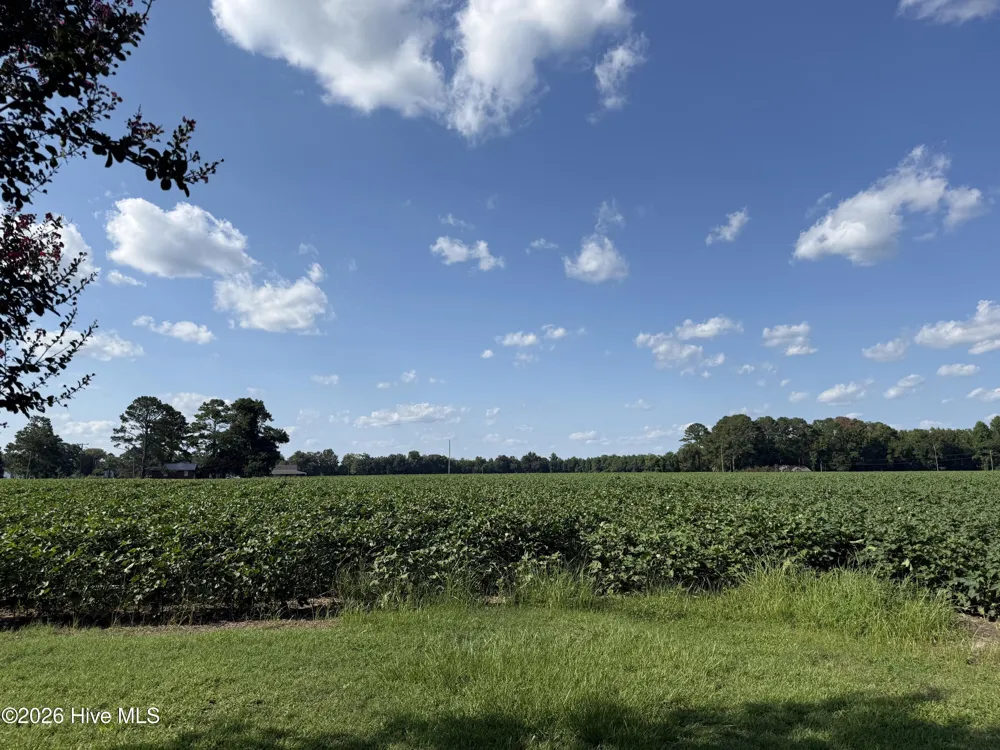 3085 Fire Dept Road Williamston, NC 27892
