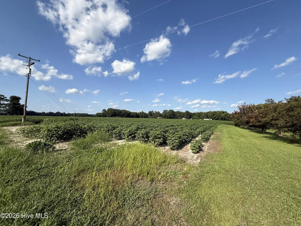 3085 Fire Dept Road Williamston, NC 27892