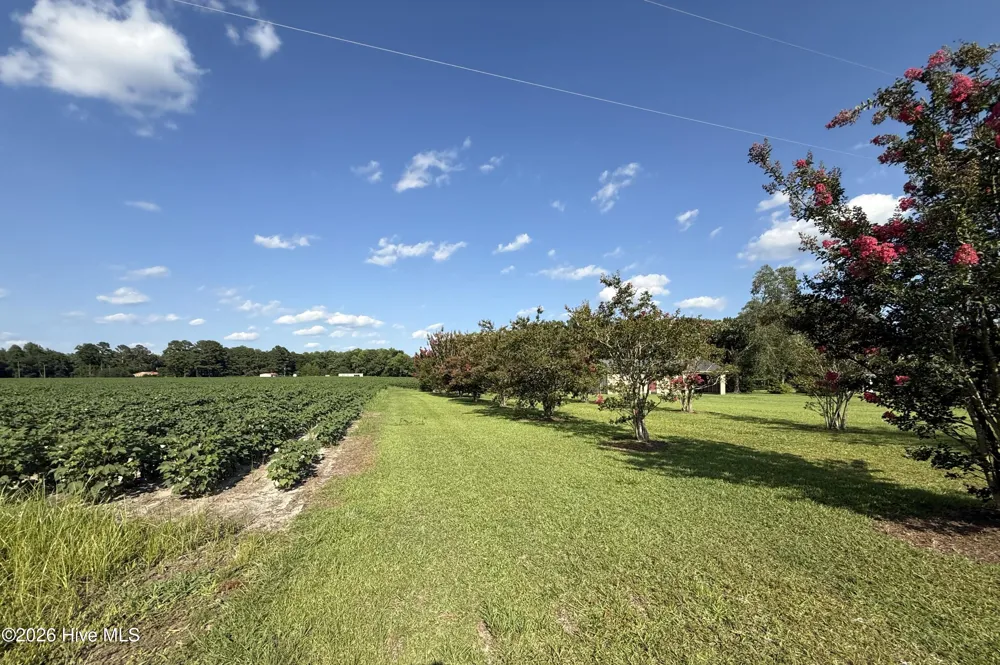 3085 Fire Dept Road Williamston, NC 27892