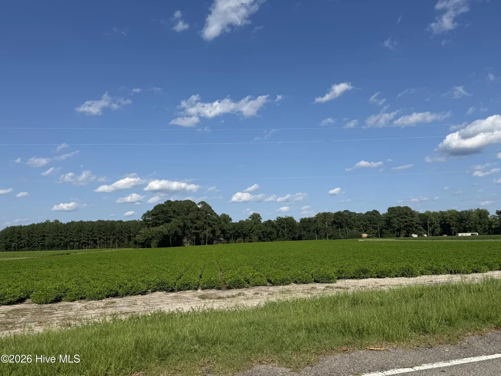 3085 Fire Dept Road Williamston, NC 27892