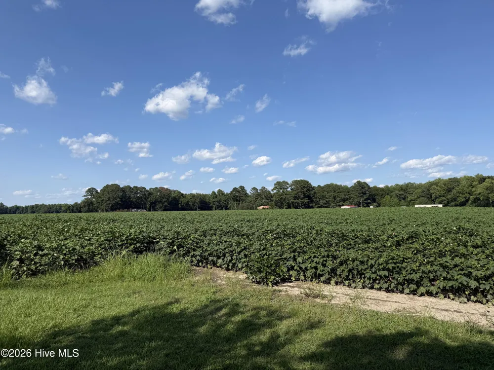 3085 Fire Dept Road Williamston, NC 27892