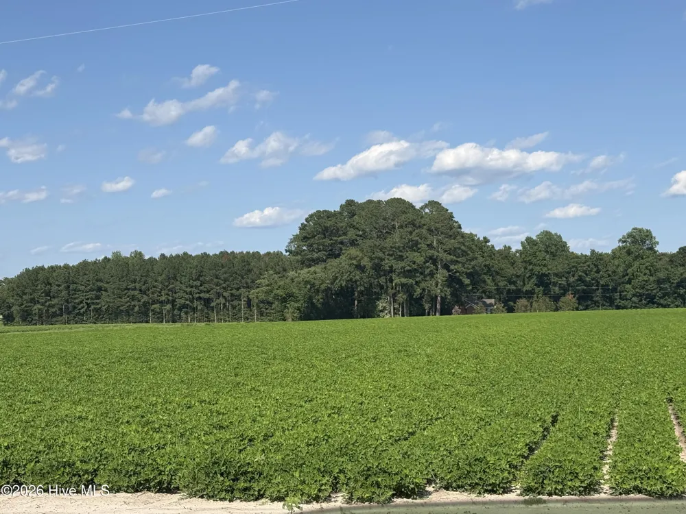3085 Fire Dept Road Williamston, NC 27892