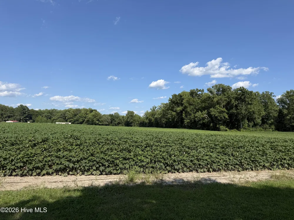 3085 Fire Dept Road Williamston, NC 27892