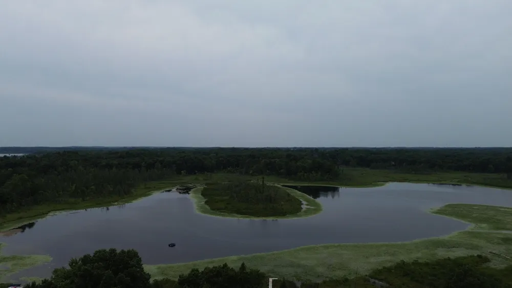 10335 Lincoln Lake Road NE Oakfield Township, MI 48838