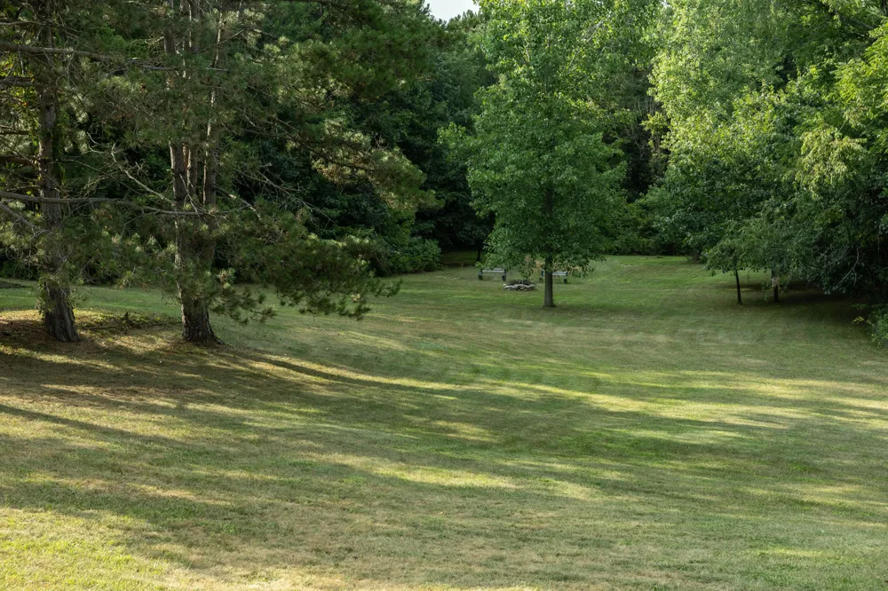 10335 Lincoln Lake Road NE Oakfield Township, MI 48838
