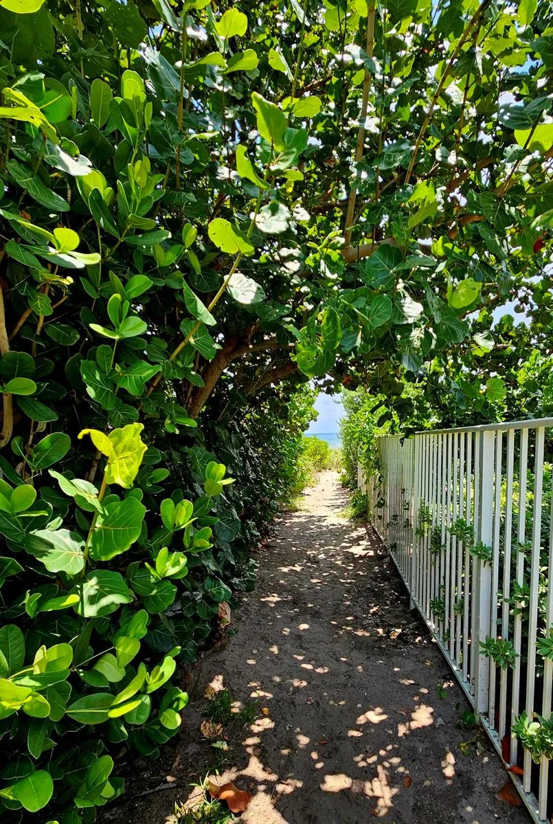 1461 S OCEAN BOULEVARD #311 Lauderdale By The Sea, FL 33062