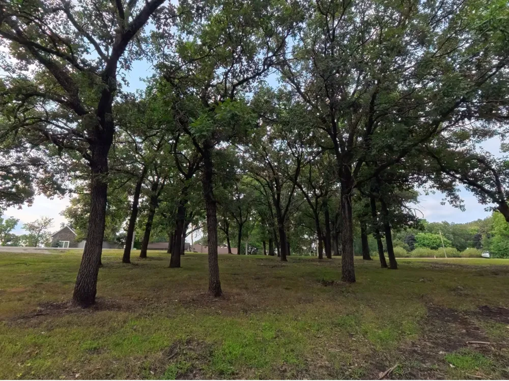 Lot 1 S Le Homme Dieu Drive NE Alexandria, MN 56308