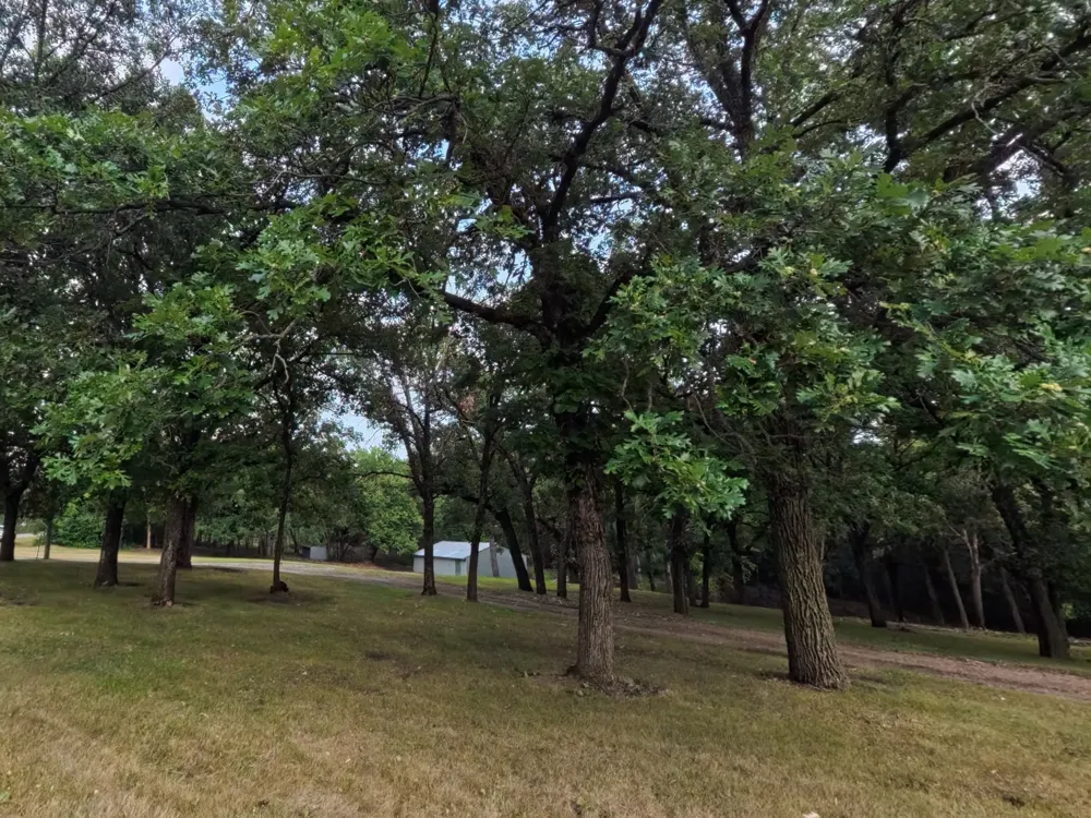 Lot 1 S Le Homme Dieu Drive NE Alexandria, MN 56308