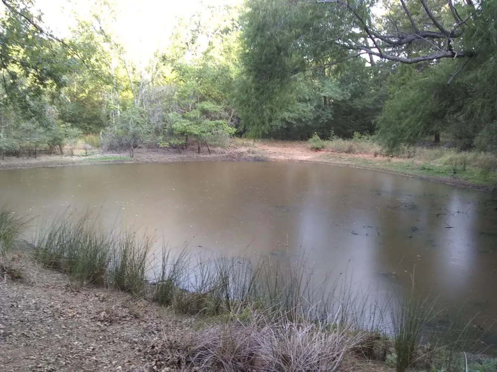 Cr 421 Buffalo, TX 75831