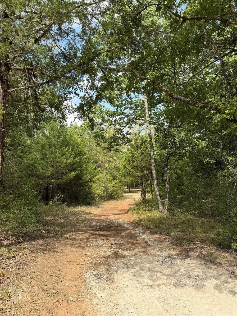 Cr 421 Buffalo, TX 75831