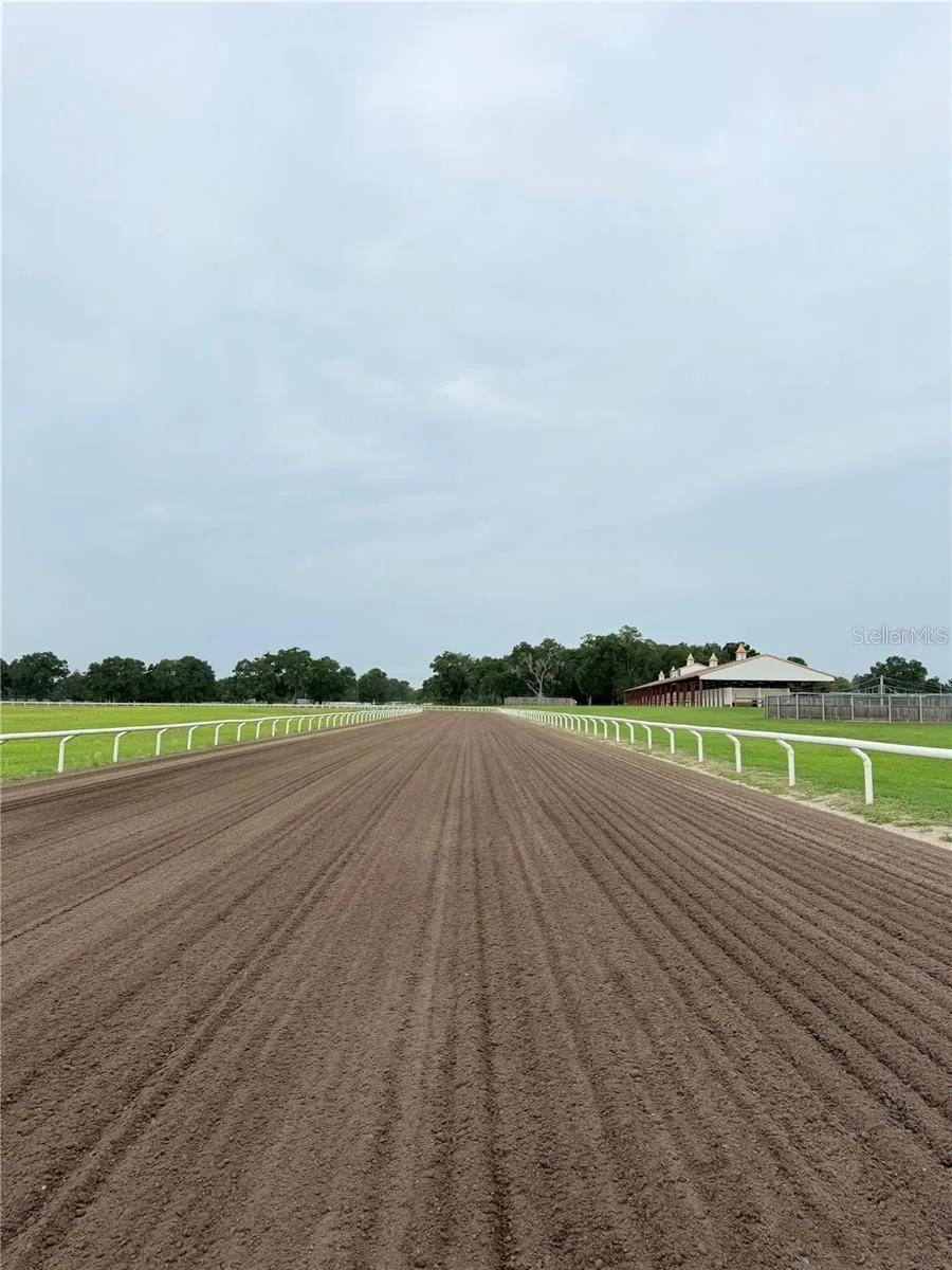 1345 NE 155TH PLACE Citra, FL 32113