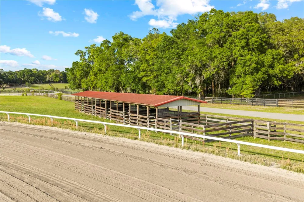 1345 NE 155TH PLACE Citra, FL 32113