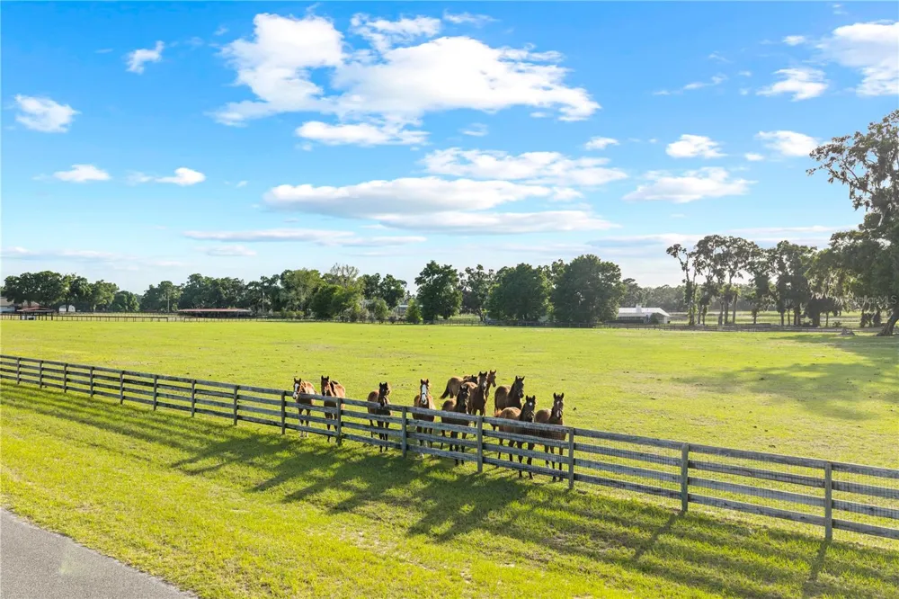 1345 NE 155TH PLACE Citra, FL 32113