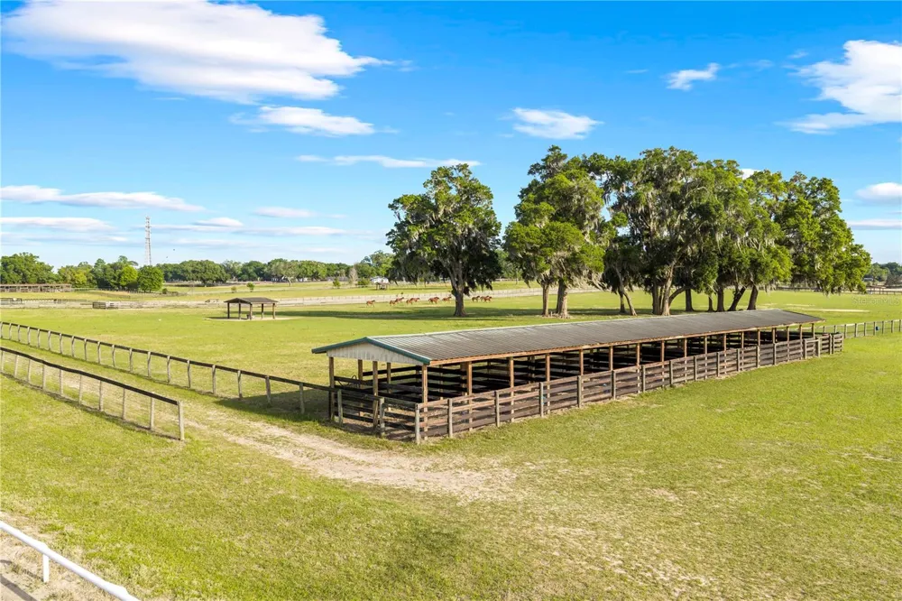 1345 NE 155TH PLACE Citra, FL 32113