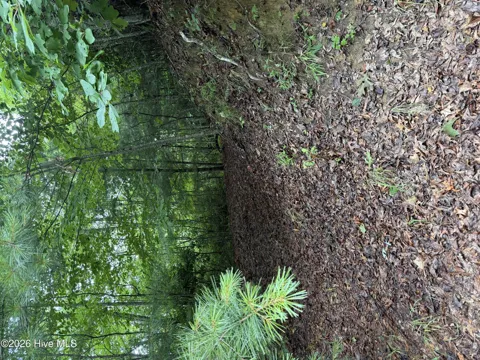 Lot 3 Mountain Vista Lane