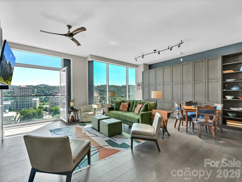 7 Patton Avenue #1103 Asheville, NC 28801